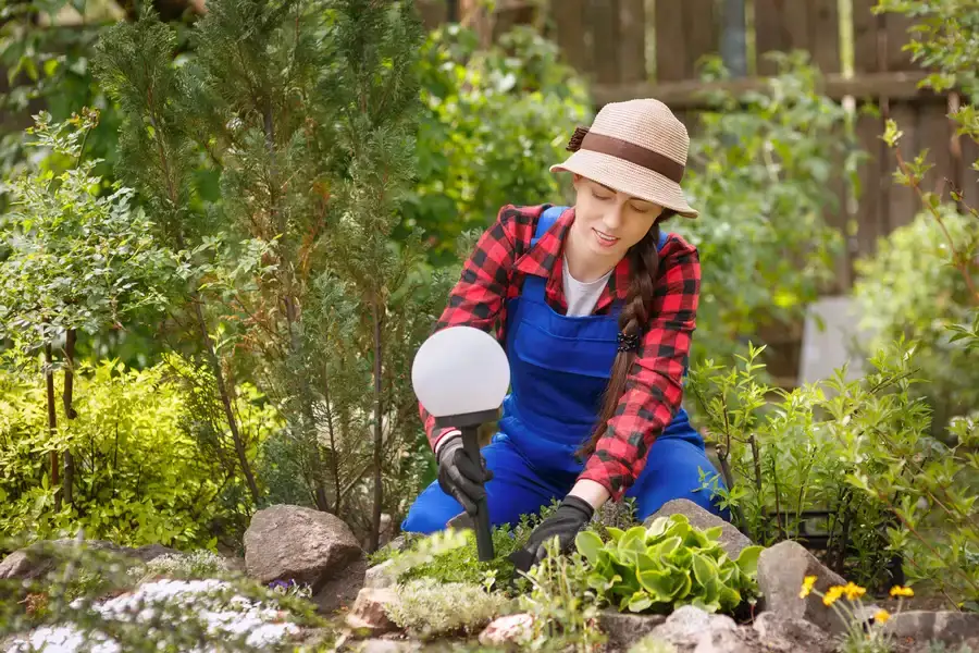 Choosing Plants For Landscape Installation Projects Weymouth, MA