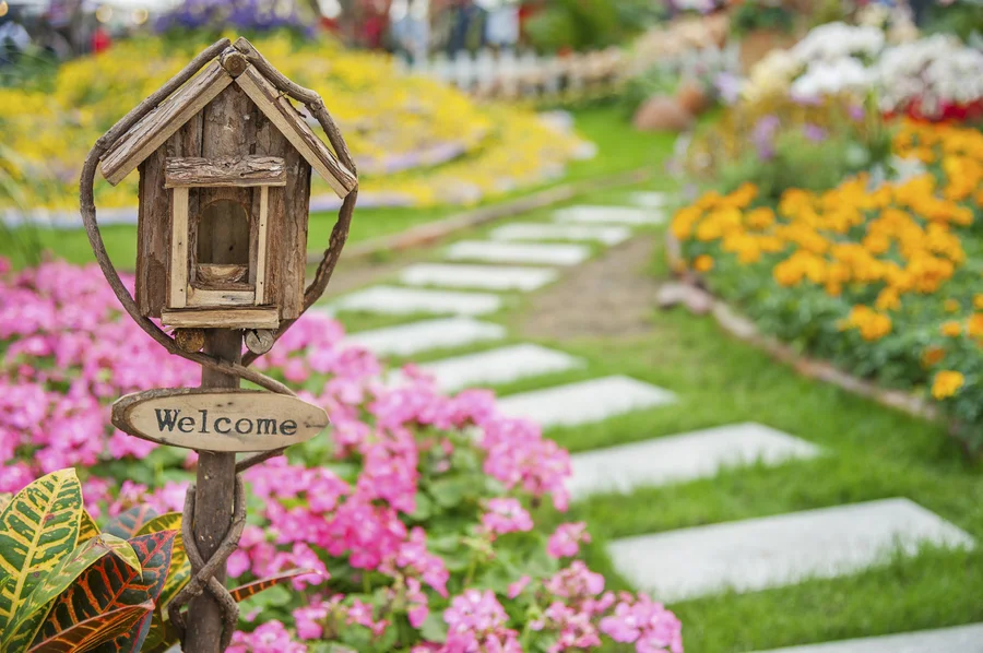 Superior Landscape Design Services Weymouth, MA